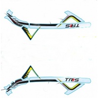 Adhesivos chasis TRS RR 2018